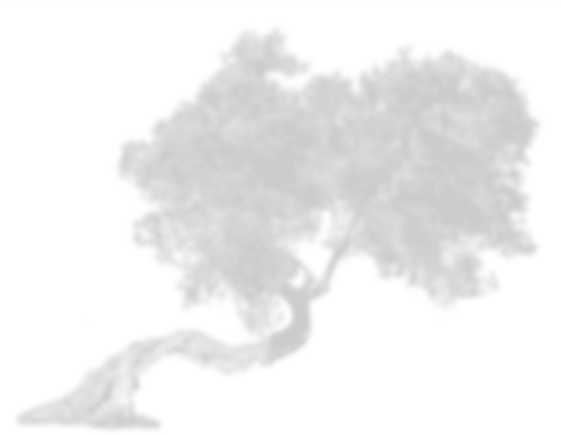 https://aldobarletta.it/wp-content/uploads/2022/09/albero_2.png